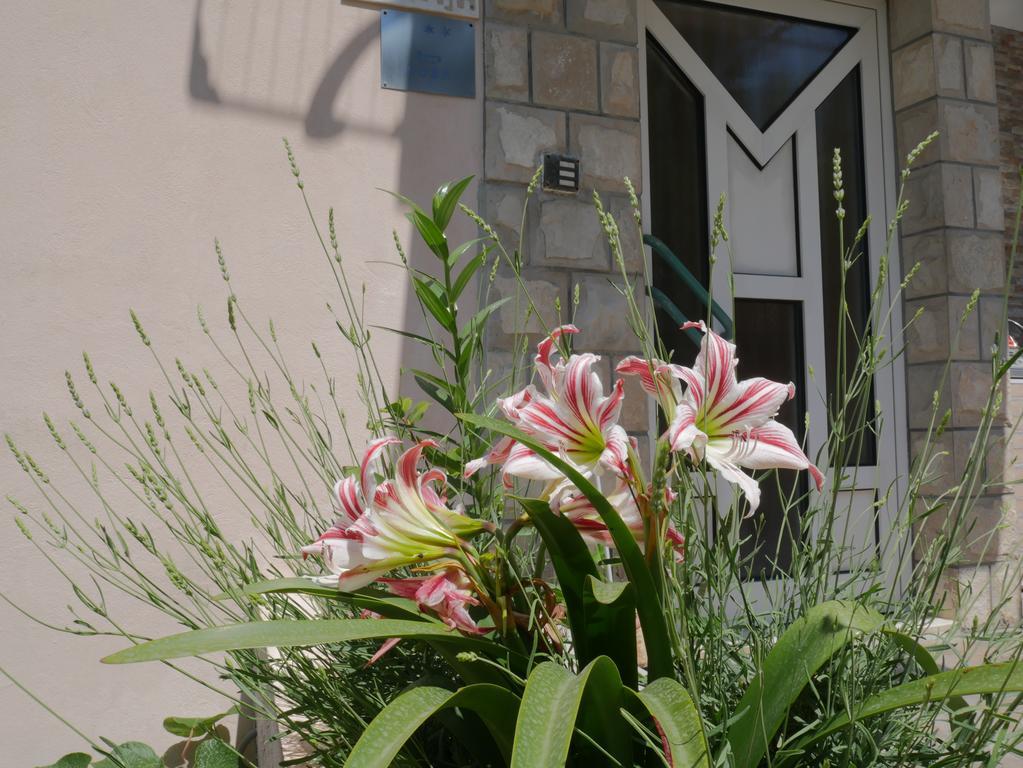 Guest House Almond Becici  Exterior photo